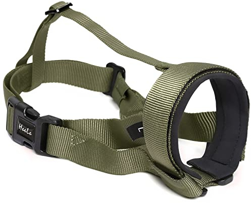 HEELE Museruola per Cani in Nylon con Morbida Imbottitura, Regolabile Antiabbaio Anti-Bocconi, Piccola Taglia, Verde, S