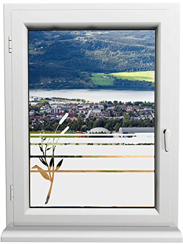 INDIGOS UG - Glasdekorfolie - Rohrkolben - Sonnenschutz H50Line - Sichtschutzfolie - Fensterfolie - für die Küche, Bad ans Fenster, Sichtschutz - selbstklebend - matt