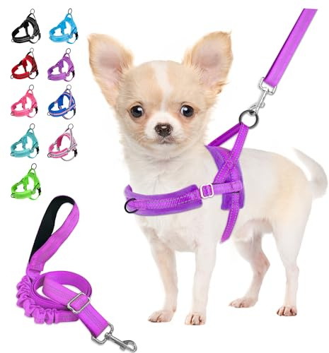 Eyein Hundegeschirr mit Leine für mittelgroße Kleine Hunde, Leichtgewicht | Weich Gepolstert & Reflektierend No-Pull Brustgeschirr mit 2 Leinenclips, verstellbar an Hals & Brust (Lila, XS)