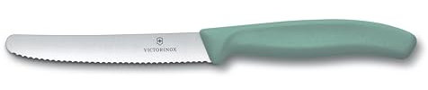 Victorinox | Tafelmesser Swiss Classic | 1 Stück | Mintgrün | Swiss Made | ideal auch als Frühstücksmesser