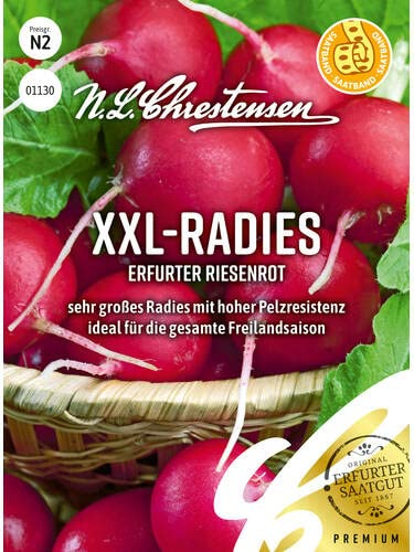 Chrestensen XXL-Radies Erfurter Riesenrot Saatband | Golfballgröße Riesenradieschen - Rot Kräftig Würzig - Raphanus sativus Saatgut - Samenfest - Radieschensamen