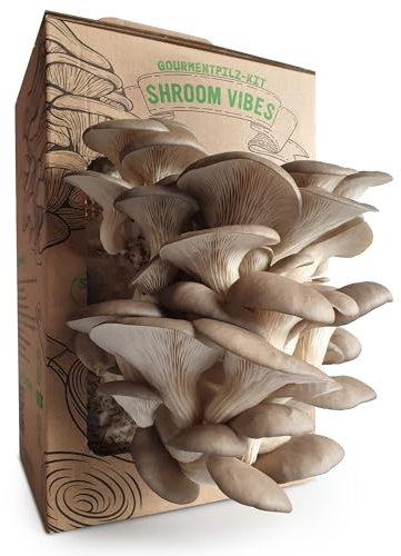 Pilz-Zucht Set | Frische Pilze jederzeit | Austernpilze züchten ohne Vorkenntnisse | Hervorragendes Edelpilz Aroma | Leicht verständliche Anzuchtanleitung | Hochwertige Pilz-Zucht