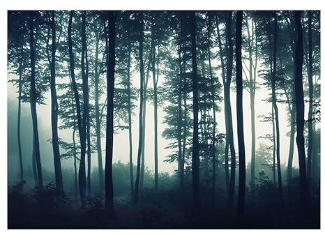 Kunstloft Carta da parati 'Forest Fog' 100x70cm Fotomurale moderno