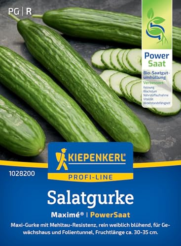 Kiepenkerl Salatgurkensamen Maximé® 1028200, Gemüsesaat | Gemüsesamen für eine rein weibliche resistente Gurke, Inhalt für 5 Pflanzen, Wuchshöhe 150–200 cm, kernarm