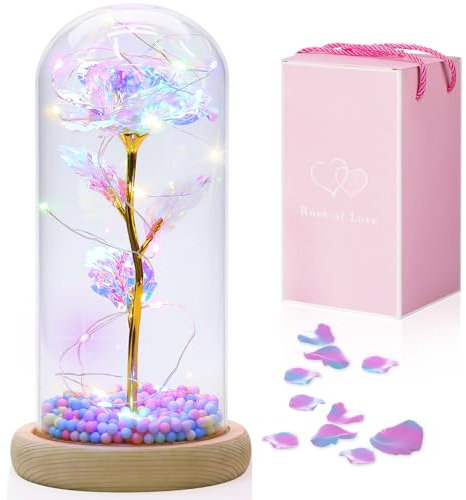 Qoolife Die Schöne und das Biest Rose, Ewige Rose im Glas mit LED-Lichter für Sie, Flower in Glas Geschenk auf Weihnachten, Valentines, Erntedankfest, Konservierte Blume Geschenk zum Jahrestag