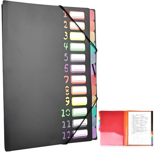 Delamiya Fächermappe A4, Tragbar Dokumentenmappe A4 mit 12 Fächern PP Kunststoff Ordnungsmappe Pultordner mit Gummizug, Wasserdicht, für Schule Bürobedarf (Schwarz)