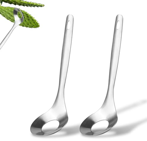 2uds Cuchara Peladora de Cactus, 21x6,3 cm Herramientas para Suculentas y Cactus, cuchara con agujero para hacer albóndigas de Acero Inoxidable con Agujero con Mango Largo para Cocinar