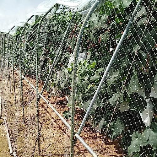 Filet de Protection Anti-Oiseaux pour Jardin, Maille Commerciale Anti-Oiseaux pour Plantes/Arbres fruitiers/Fraise, barrière en Plastique Robuste pour Animaux, Blanc (Couleur : l x h, Taill