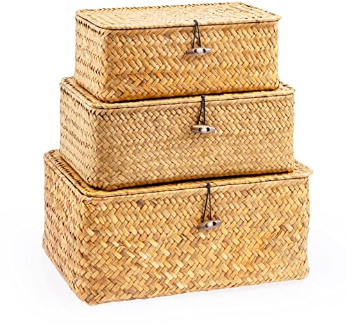 3 Stück Seegras Aufbewahrungskörbe mit Deckel, Seegras Korb | Körbe aus Seegras in 3 Größen, Rattan-Optik, stapelbar, für Bad, Regal, Kosmetik, Bücher und Kleidung
