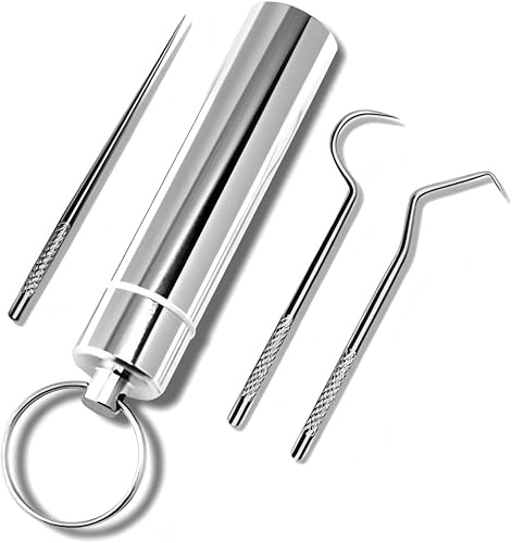 3 PCS Stainless Steel Toothpick Holder with Keychain – Portable Metal Toothpick Set with Storage Case – Ideal Tooth Pick Metal for Travel, Outdoor, Camping & Picnic (Silver)