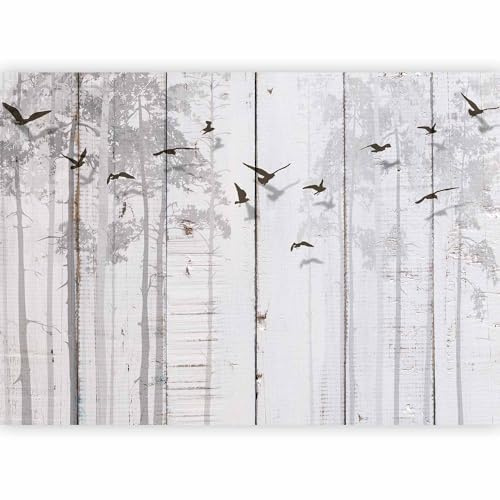 murando Fotomurales Tablas 300x210 cm XXL Papel pintado tejido no tejido | Decoración de Pared decorativos Murales moderna de Diseno Fotográfico Pajaro gris Arboles