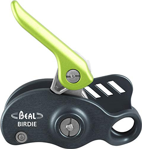 Beal Birdie Sicherungsgerät, Green