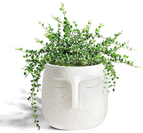 GeLive Head Pot de Fleurs avec Trou de Drainage, Statue Moderne pour Le Visage, Rebord de fenêtre, décoration d'intérieur, intérieur et extérieur (Blanc)