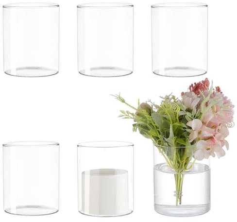 BENECREAT 6 Pcs Glass Cylinder Vases, 10cm (H) x 8.4cm (W) Clear Hydroponic Plant Bottles, Modern Decorative Centerpieces Vases for Micro Landescape, Flower, Home, Weddings, Party