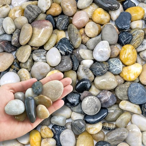 CHEOAR Piedras Decorativas 8.2 kg (18 lb), Piedras Naturales de Río 1-2 cm para Jardín, Plantas, Acuarios y Jarrones - Guijarros para Jardín, Decoración de Exteriores e Interiores