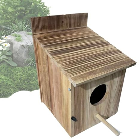 para Búhos Refugio de Madera Decorativo Resistente a las Inclemencias | Casa para Aves Silvestres de Exterior Para Pinzones Azulejos Colibríes Jardín Balcón Patio Patio Interior Jardín Posterior