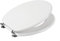 Copriwater Ideal Standard CONCA VISONE I.S. Cerniera Cromo-Sedile-Asse WcCerniera Cromo-Sedile-Asse Wc