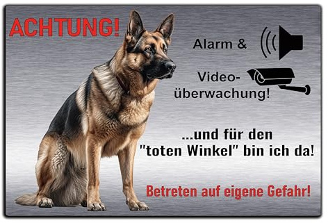 Schild Videoüberwachung und Hund, Hundeschild, Warnung, Achtung - Edelstahl Optik Silber gebürstet - Warnung vor dem Hund - Deutsche Schäferhund TW1 (Silber gebürstet, 30x20 cm)