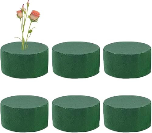 Denxahao Blumensteckschaum Rund Steckschaum für Blumen Steckmasse für Blumengestecke Schneidbar Nasssteckschaum Steckmoos Steckschwamm zum Basteln für Feiern Auto Hochzeit Geschenke (6pcs)