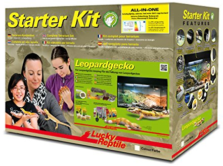 Lucky Reptile Leopardgecko Starter Kit 80 cm - högkvalitativt Gecko Terrarium Komplettset för uppfödning och permanent hållning av geckos - Starter Set Leopard Gecko för nybörjare i svart