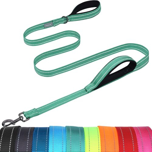 VIVAGLORY Double Handle Dog Lead Twingrip, 1.5m x 2.5cm, Turquoise | Dog Leash with Traffic Handle & 2 Loop Lead for Walking & Training, Traffic Control Reflective Heavy Duty for Puppy Pet