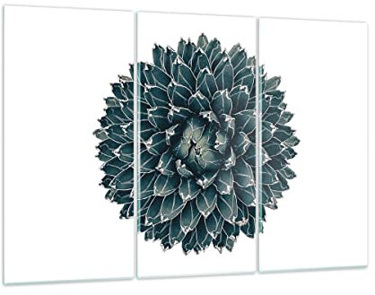 Moderne Impression sur Verre Agave Reine Victoria Image Tableau en Verre Decoration Murale 105x70cm Deco Cadre Salon Chambre Triptyque 3 parties Grand Tableaux Decoratifs Muraux Art GCE105x70-4129
