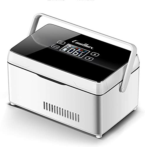Contenitore refrigerato per medicinali, Lungo Tempo di Attesa, Dispositivo di Raffreddamento per insulina, con Comodo Trasporto, Frigorifero Portatile per medicinali, Contenitore frigori