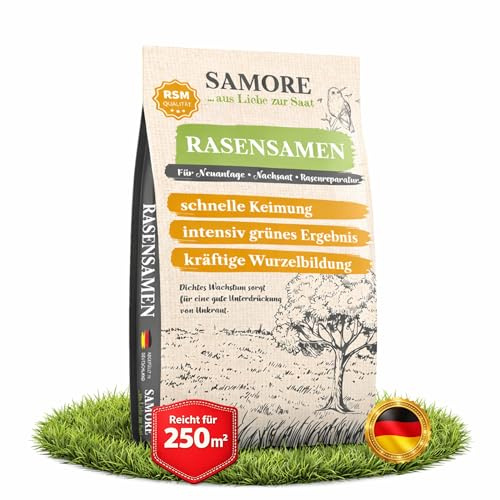 samore- Rasensamen schnellkeimend I Nachsaat Rasen I Extrem hohe Keimrate I Rasensamen trockenresistent zur schnellen Lückenschließung I Rasennachsaat RSM Qualität (5 kg für 250 m²)