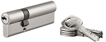 THIRARD - Cylindre de Serrure Double Entrée Trafic 6 - Nickel - Haute Sécurité - Anti-Arrachement, Anti-Perçage, Anti-Crochetage - 30 x 60 mm - 5 Clés Plates Réversibles