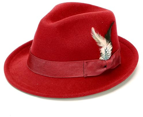 Geebuzz Fedora Hats for Men Women Classic Short Brim Felt Manhatta Fedora Hat with Feathers Band (UK, Alpha, One Size, Feather-Red)