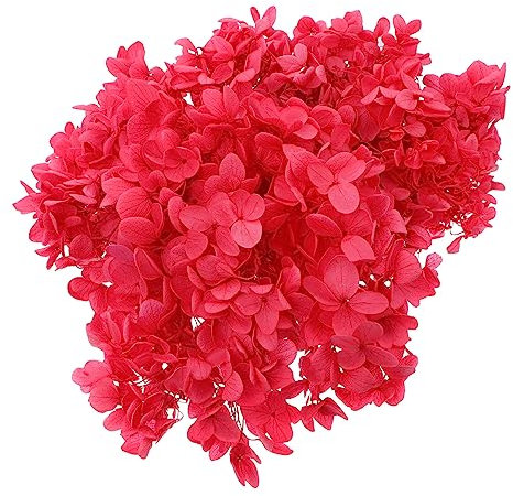 Amosfun Fleurs Hortensia Séchées Naturelles Matériel pour Fleurs Hortensia Séchées Soi-même pour Loisirs Créatifs et Bricolage