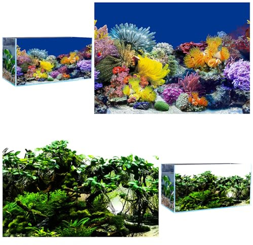 VLYX 3D PVC Aquarium Hintergrund, Unterwasser Riff Design, 62x30cm, für Süß- und Salzwasser Aquarien