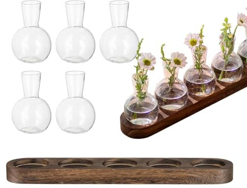 Hydrokultur-Anzuchtstation – Zimmerpflanzenterrarium, Wasserpflanzen-Desktop-Vase, Vintage-Hydrokultur-Pflanzgefäß, Schreibtisch, Glas-Anzuchthalter, minimalistische Heimdekoration, stilvolle Vasen