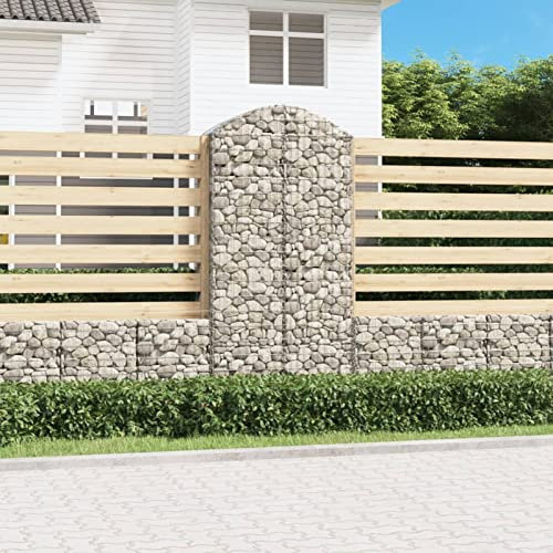 Snsowed Cesto Gabbione ad Arco 100x50x200/220 cm Ferro Zincato,Cesto Gabbione ad Arco,Gabbione,Gabbioni da Giardino,Gabbioni Metallici per Sassi-153440