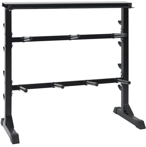 Ziaphsol Hantel Rack Schwarz aus pulverbeschichtetem Stahl 99 x 45 x 95,5 cm, 7 Halter und 8 Haken, für Kurzhantel, Hantelständer, Home Gym, Trainingsbank, Squat Rack, Fitnessgerät
