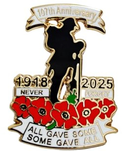 107th Anniversary Red Poppies Badges Pins Military Army Veteran Solider Never Forget Remembrance Day Brooch