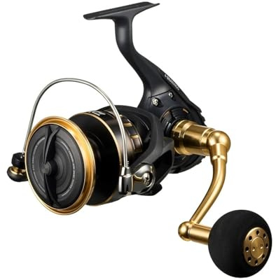 DAIWA Spinnrolle 23BG SW 4000-18000, Verschiedene Modelle (Modell 2023)