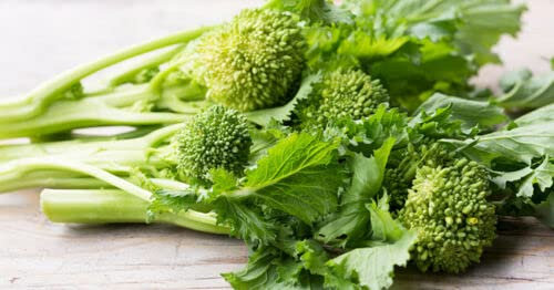 150 SEMI DI CIMA DI RAPA LECCESE