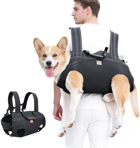 Large Dog Carry Sling, Assistance Dog Harness (Fits Chest: 49-63 cm) | Dog Carry Sling with Padded Handles, Full Body Support & Mobility Aid for Senior, Disabled, Injured or Blind Dogs