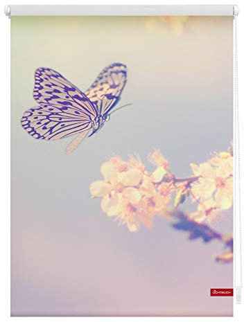 Lichtblick Klemmfix Tageslicht-Rollo mit Motiv, ohne Bohren, Blickdicht, Seitenzugrollo, Made in Germany, Schmetterling - Rosa 120 x 150 cm (B x L)