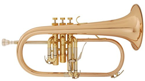 Soundman EFH-601R Flügelhorn in B (Goldmessing) - Komplett mit Koffer, Mundstück und Pflegezubehör