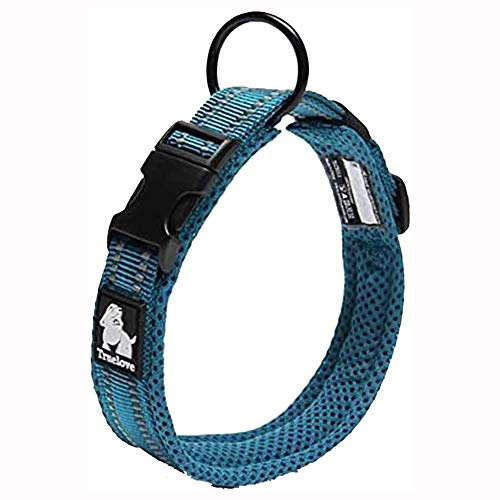 Truelove Hundträningshalsband TLC5011 reflekterande premiumspänne nylonband husdjur hundhalsband, högkvalitativt nylonband ingen kvävning grundläggande halsband nu tillgängliga (XS, blå)