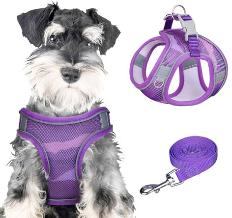 PawSailor Anti-Zug-Hundegeschirr-Leinen-Set, Verstellbar, Step-In, Atmungsaktiv, Leicht, Mit Druckmuster, Ausbruchsicheres Hundegeschirr, Reflektierend, Für Alle Jahreszeiten, Lila, M