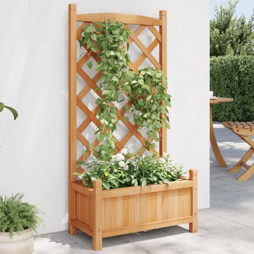 Hovothy Jardinière avec treillis - Jardinière pour l'extérieur - Jardinière pour l'extérieur - Jardinière pour jardin - Pot de fleurs pour balcon - Marron - 55 x 29,5 x 110 cm - Bois de sapin massif