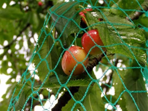 Maillestore Vogelschutznetz - 25 mm Maschenweite - Große Maße Schwarz 4 m x 100 m