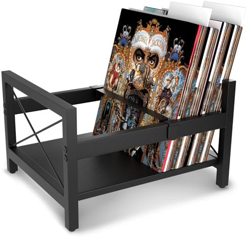 ArtisanHQ Vinyl Record Holder, All Metal Album Case Storage, Holds up to 60-80 LPs With 2 Plastic Dividers and Sliding Bar