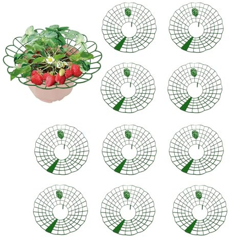 10 Stück Erdbeerreifer & Fruchtreifer Erdbeeren,Schneckenschutz Erdbeeren Schutz,Erdbeerstützen Ständer,Erdbeerregal,Pflanzenregal für Erdbeeren Pflanzen,Erdbeergitter Gegen Fäulnis & Schimmel (A)