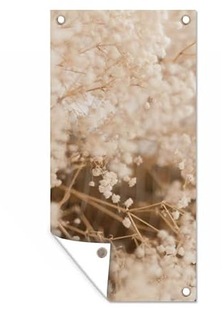 MuchoWow Poster exterieur Herbe de la pampa - Plante - Nature Decoration murale 80x160 cm Résistant aux intempéries/soleil