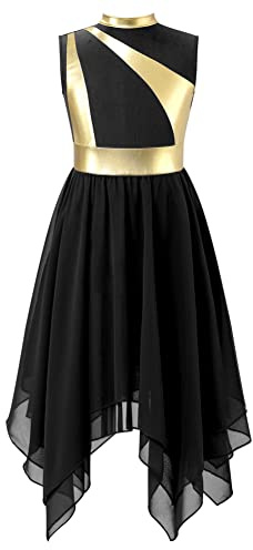 Alvivi Vestido de Danza Contemporánea y Lírica para Niña Vestido de Gimnasia Rítmica de sin Mangas Maillot con Falda Ballet Disfraz de Bailarina (4-16 Años) V Negro 14 años