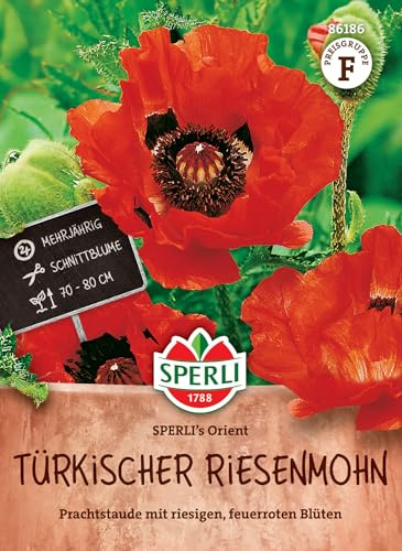 Sperli Türkischer Riesenmohnsamen SPERLI's Orient 86186, Blumensaat | Zweijährig, Wuchshöhe 70-80 cm, Leuchtend Rote Blüten, als Schnittblume, mehrjährig
